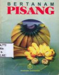 Bertanam Pisang
